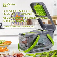 Hot Selling 22 1 Horizontal Handheld Multifunctional Vegetable Onion Slicer Stainless Steel Kitchen Tool for Household Manual